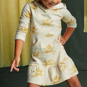 Tea Collection Girls Size 10 Hooded Sweatshirt Dress